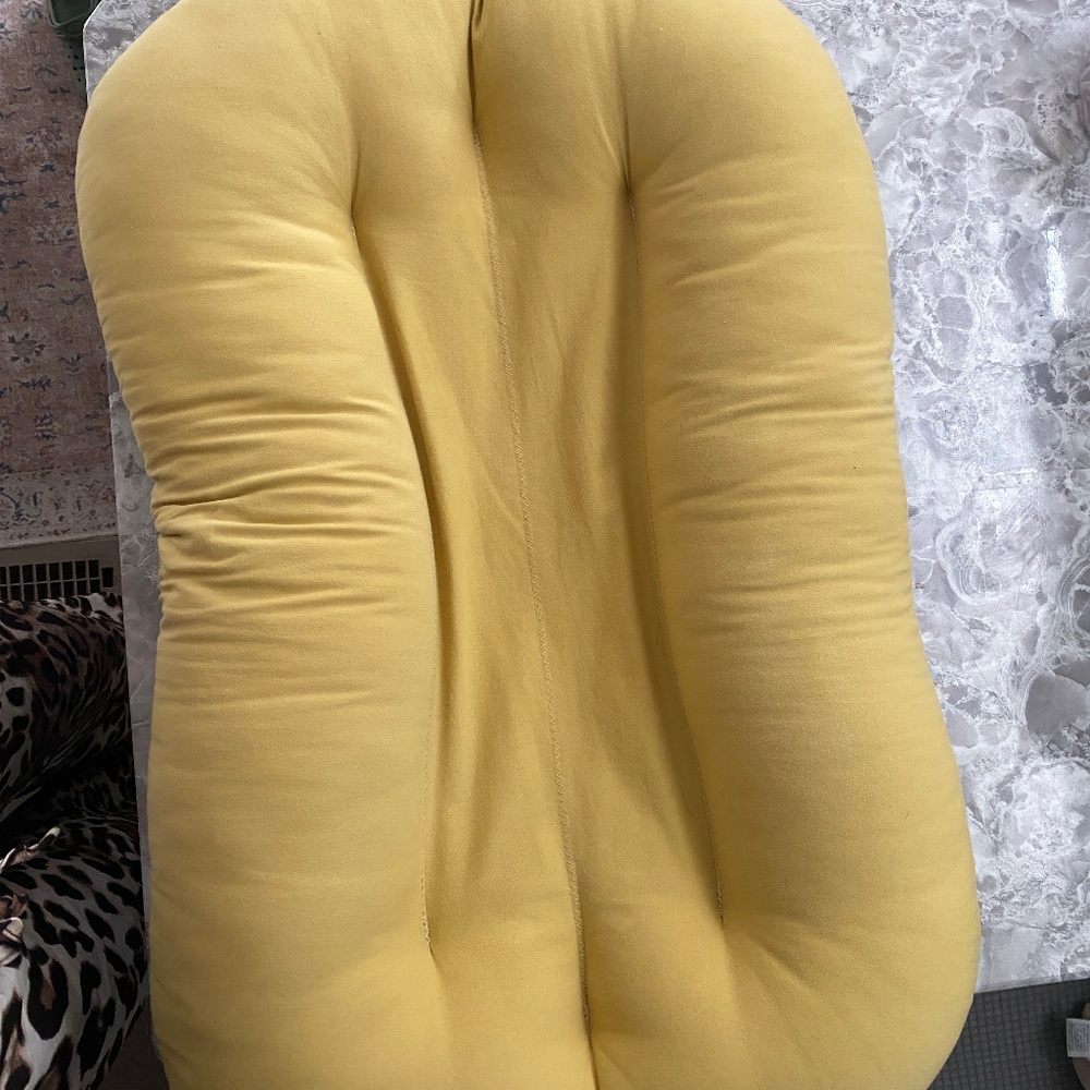 Snuggle Me Pillow and Cover